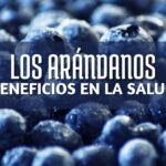 un montón de arandanos recién cosechados