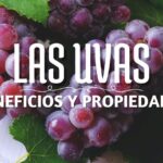 racimo de uvas colgando de una parra