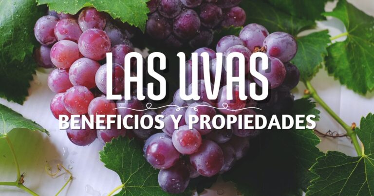 racimo de uvas colgando de una parra