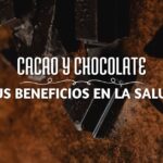 Beneficios del cacao: ¿comer chocolate es sano?