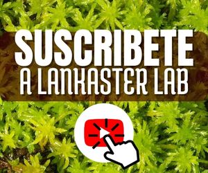 suscribete a nuestro canal de youtube, lankaster lab