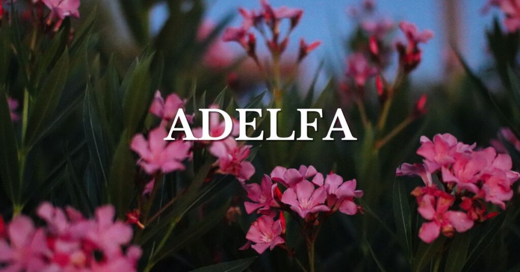 la adelfa, una de las plantas más venenosas 