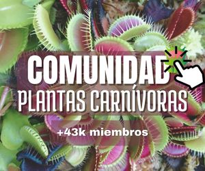 nuestra comunidad de plantas carnívoras en facebook con mas de 40k miembros, lankaster lab